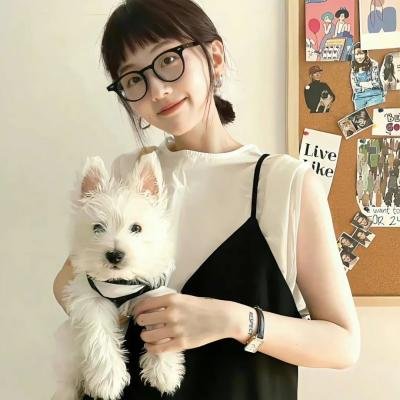 小淘气尼古拉:快乐的源头