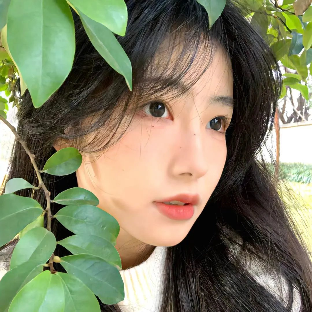 阴尘不散