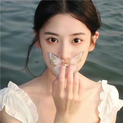 灵域第二季